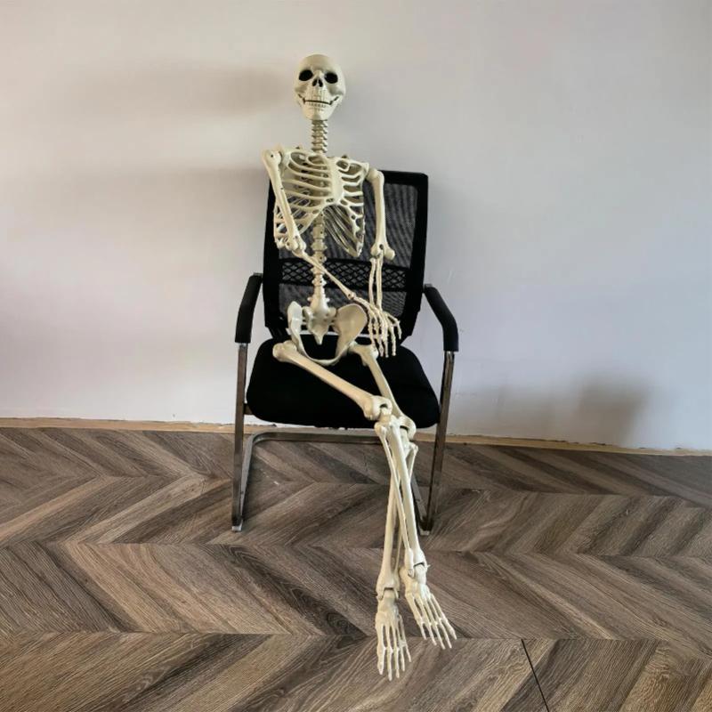 Halloween Skeleton Life Size Human Skeleton With Posable Joints Weather-Resistant Outdoor Decorations Spooky Photo Props Party