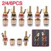 2 4mm Brass Speaker Amplifier Binding Posts Terminals Transparent Shell Oxidation Resistance Brass Terminal for Banana Plugs