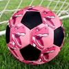 1pc Pink Dinosaur Art Lightweight PVC Training Soccer Ball, Size 5, Suitable for Indoor and Outdoor TrainingGift y60398