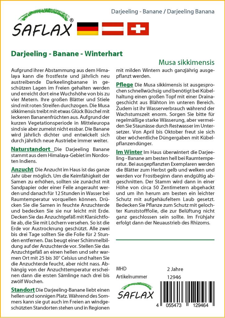 SAFLAX Банан Дарджилинг - 5 семян - Musa sikkimensis