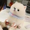 Милая собачка померанский шпиц плюшевая игрушка реалистичная плюшевая набивная мягкая кукла щенок питомец дети дети девочки милый подарок на день рождения
