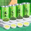 Four Great Green Teas: Longjing, Maojian, Mingqian Biluochun, and Gaoshan Yunwu Combination Tea