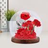 Cloche Glass Dome with Base Tabletop Display Glass Cloche Globe Dome Clear Ball Shape Decorative Dome Case Globe for Flower