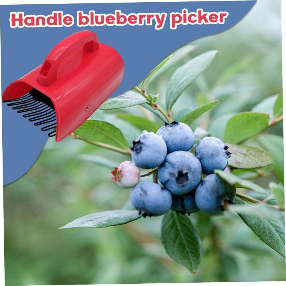 Hand-Held Blueberry Picker Metal Comb Berry Picking Rake Convenient Blueberry Shovel Greenhouse