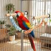 Bite Resistant Parrot Climbing Perch Suction Cup Hanging Bird Swing Bird Swing Toy  Bird Cages