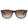 Солнцезащитные очки Ray Ban Rb4202 Andy 607313 мужские