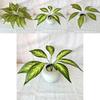 Monstera Deliciosa Faux Plant With 7fork Zebra And Turtles Leaves For Wedding Decor And Wall Art