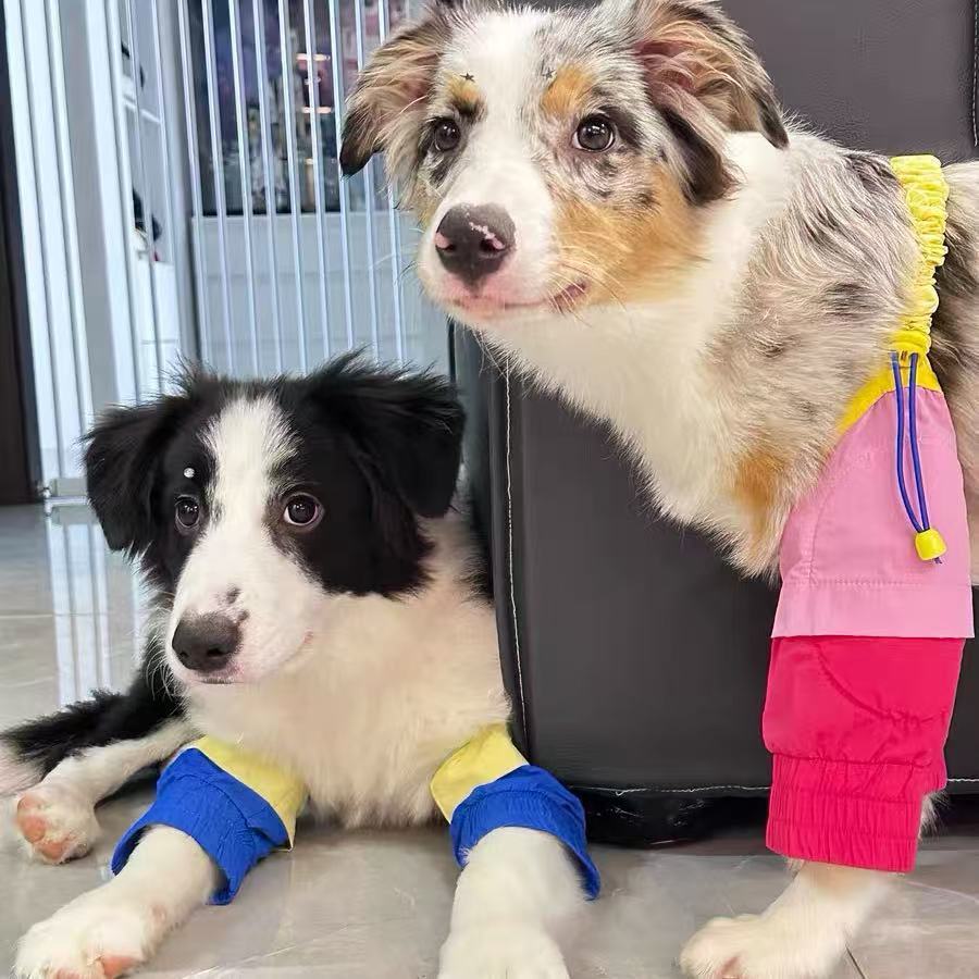 Elbow pads for pet dogs Golden Retriever Border Grazing Medium and large dogs Anti-licking and anti-wear Front leg joint protective cover Knee pads