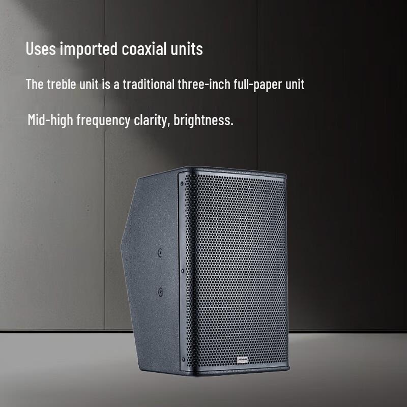ANE Professional Conference Speaker HD-8 CN plug (adapter included)