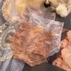 High Waist Tummy Control Lace Trim Women's Briefs - Plus Size, Sexy & Breathable