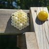 3D Отпугиватель Пугало Сад Двор Улица Реалистичная Поддельная Декорация Улей Пластиковый Инструмент