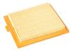 Stiga Ggp 510038 Air Filter