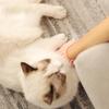 Угловая щетка для домашних животных, массажная доска, многофункциональная силиконовая расческа для самостоятельного ухода, когтеточка для кошек