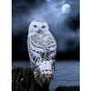 5D Diy Алмазная картина Сова Луна Алмазная вышивка Крестом Домашний декор Подарки ручной работы