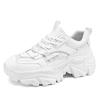 Men's Shoes Spring New Casual Sports Shoes Teen Little White Running Thick Sole Heightening Dad Trendy Shoes
