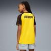 Puma BVB HOME JERSEY REPLICA JR boys' jersey yellow 78009401 size 164
