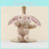 Long Eared Rainbow Rabbit Keyring Soft Stuffed Toy For Kids And Teens Cotton Pp