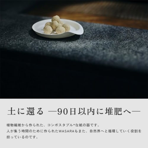 WASARA Disposable Paper Plates with Handles, Pack of 100