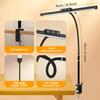 Computer Monitor LED Desk Lamp 5-Colour Temperature Stepless Dimming Flexible Gooseneck Ra80+ Eye-caring Home Reading Table Lamp