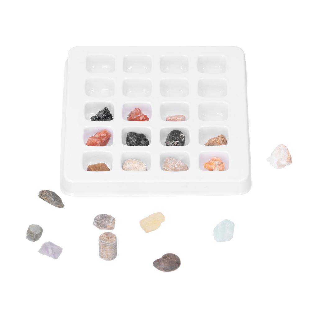 20 Kinds Crystal Gemstones Ornament Colorful Healing Chakra Gemstones for Kids Teacher Collector