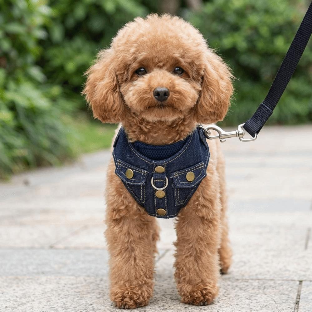 Oxford cloth Pet Harness Vest Style Escape Proof Harness Comfortable Vest Harness Pet Training