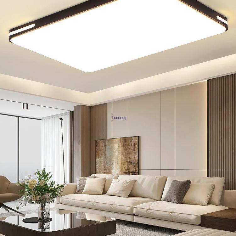 Modern Minimalist Ceiling Light for Bedroom, Living Room, Dining Room, or Balcony