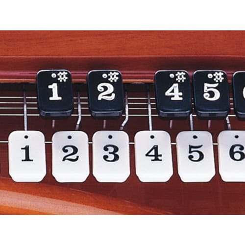 SUZUKI Electric Taishokoto Amber Soprano