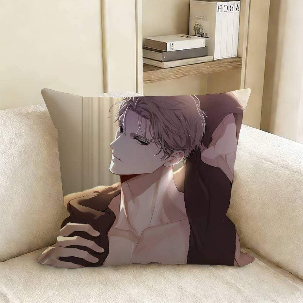 PPassion Bl Anime Pillow Case Living Room Sofa Cushion Cover Suitable For Home Bedroom Room Decoration