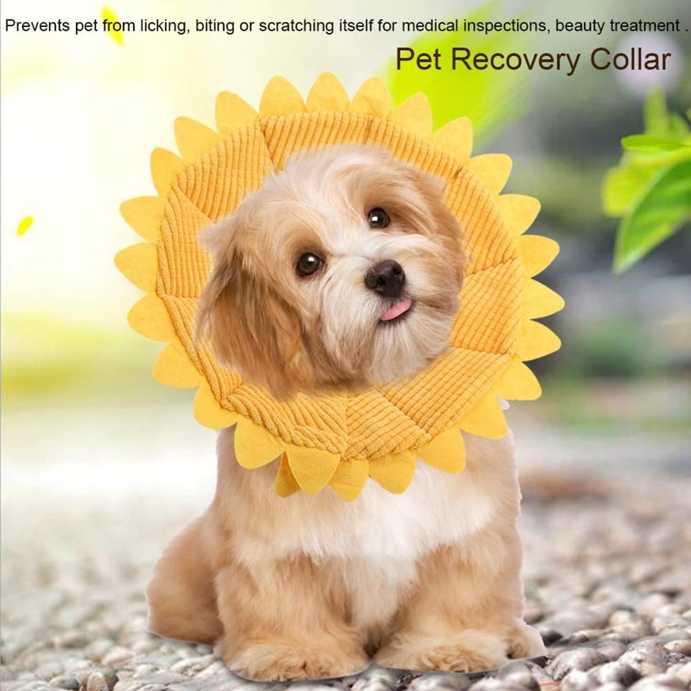 Sunflower Shaped et Recovery Collar Adjustable Fit Dog Cone Collar  Skin Irritation Relief