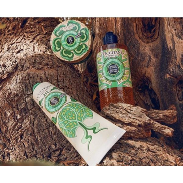 L'OCCITANE Крем для рук Holiday Sheer Sparkling Live Light 30 мл и бальзам для губ 12 мл, набор, 1 комплект