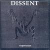 7inch Record DISSENT - Expression AR006 Amity Records 1991 US Rock Used