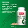 Vegan Mastic Gum, 60 Veggie Capsules (500 mg per Capsule)