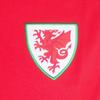 Wales Cymru Boys Contrast Sleeves Polo Shirt