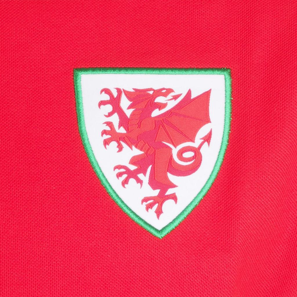 Wales Cymru Boys Contrast Sleeves Polo Shirt