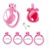 Pink Chastity Cage Sissy Negative Chastity Lock CB Lock Abstinence Restraint Cock Cage Urethral Chastity Device Adult Sex Toy18+
