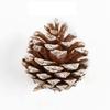 Американские сосновые шишки Сухоцветы для DIY декора, 1-15 см Сосна Ель Лиственница