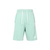 Спортивные шорты мужские Mineral Moderate DX0767-309