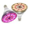Par38 Full Spectrum Sunlight LED Plant Grow Light with E27 Base
