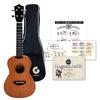 For Concert Ukulele First Bag and Instruction Manual Gazlele Concert Ukulele Stringed Instrument Body Case Supervised Concert [Perfect Beginners]