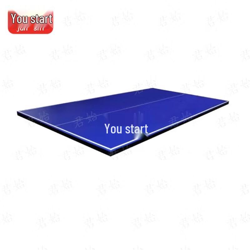Foldable Standard Ping Pong Table