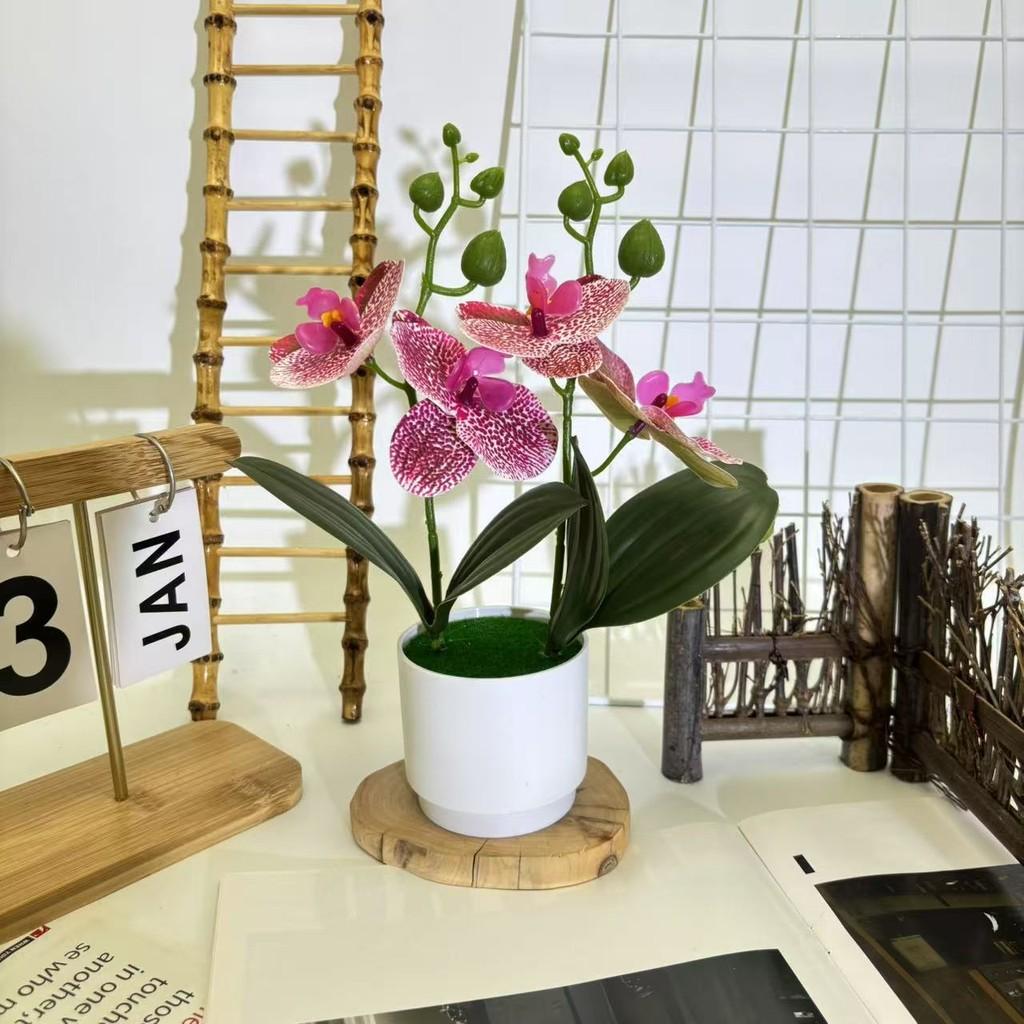 Butterfly Orchid Imitation Flower Set For Home Interior And Outdoor Garden Decoration