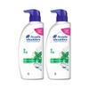 Head & Shoulders Охлаждающий ментоловый шампунь 500 мл Double Special