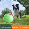 1/4Pcs Squeaky Dog Balls Interactive Dog Ball Toys for Training Puppy Chew Balls Teething Toy Fetch Game Dog Toy