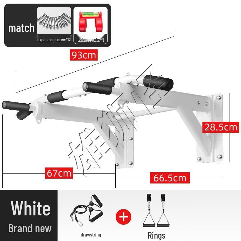 Wall-Mounted Pull-Up Bar and Dip Station