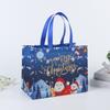 Рождественский подарочный пакет Санта-Клаус Снеговик Дизайн большой емкости с двойной ручкой из нетканого материала Подарочная упаковка для конфет