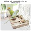 Training Function Parrot Feeding Tray Hanging Pet Food Seek Toy  for Small Pet