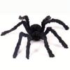 Halloween Extra Large Black Spider, Party Decor Giant Spider Web Prop, Realistic Plush Spider, Suitable for Home Bedroom