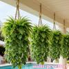 Plastic Artificial Hanging Monstera Vine UV Resistant Trailing Greenery Vine  Balcony