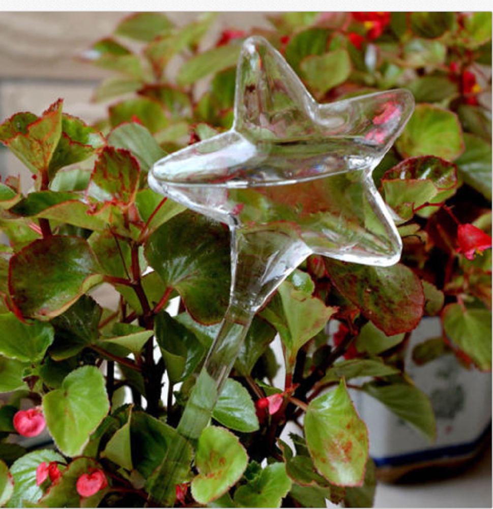 Стеклянные сосуды для капельного полива домашних растений