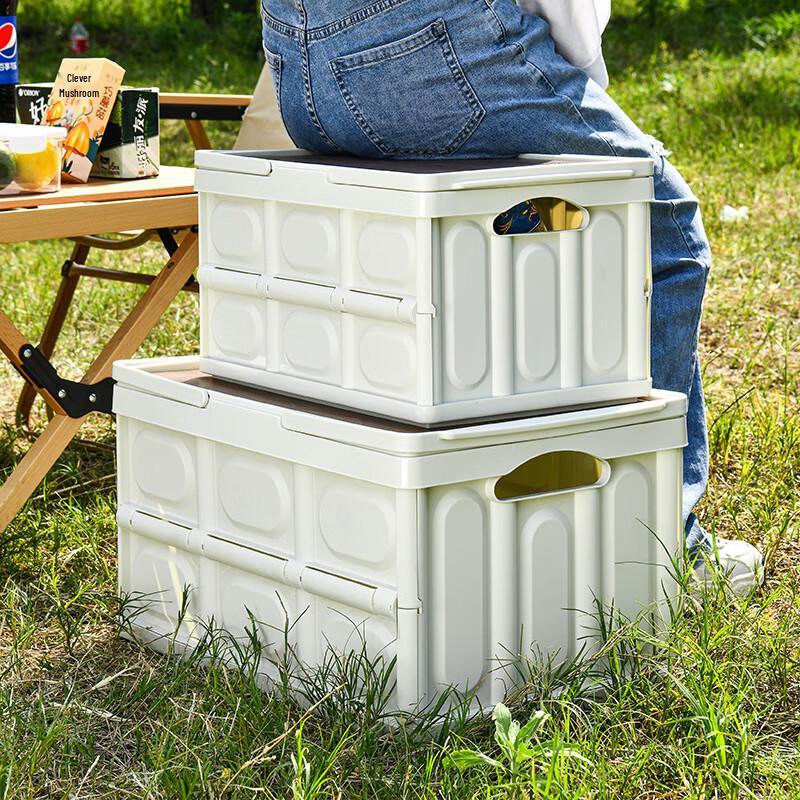 Zhishi Portable Foldable Car Trunk Storage Box